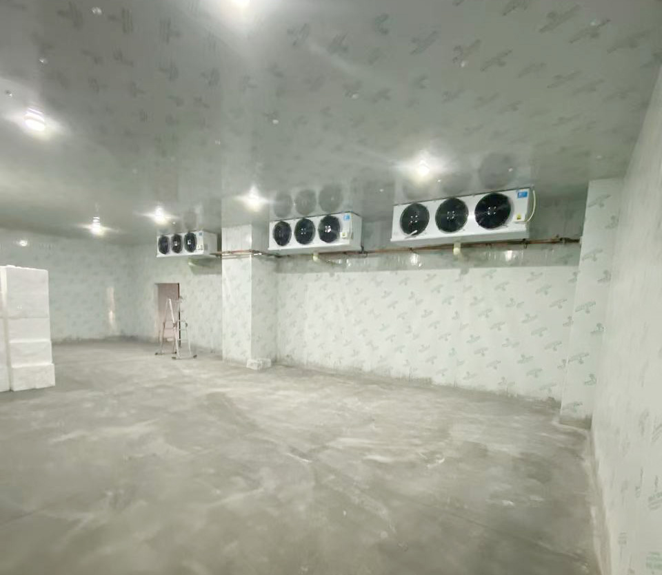 普拉拉食品500立方-25度冰淇淋